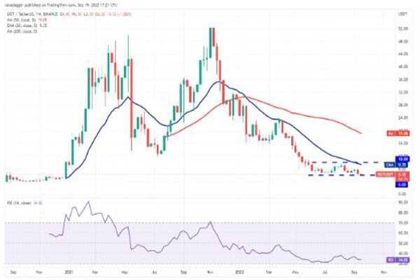 波卡币价格今日行情 DOT币最新消息-第3张图片-芝麻交易所下载
